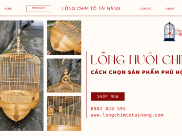 Cách chọn lồng nuôi chim phù hợp, bạn đã biết chưa?