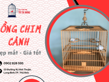 Hướng dẫn lựa chọn lồng chim đẹp cho người mới