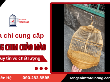  Tô Tài Năng - Địa chỉ cung cấp lồng chim chào mào uy tín và chất lượng