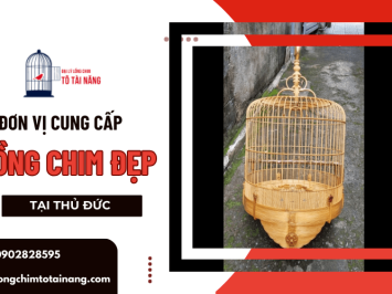 Đơn vị cung cấp lồng chim đẹp tại Thủ Đức - Giá tốt, chất lượng