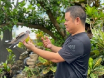 VƯỜN CHIM HƠN 1 TỶ ĐỒNG TRÊN SÂN THƯỢNG