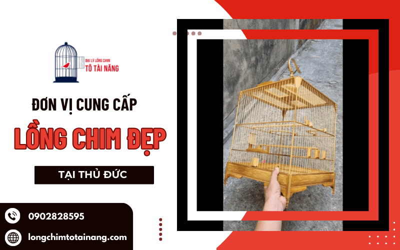  lồng chim đẹp tại Thủ Đức 