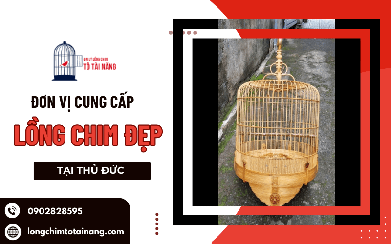  lồng chim đẹp tại Thủ Đức 