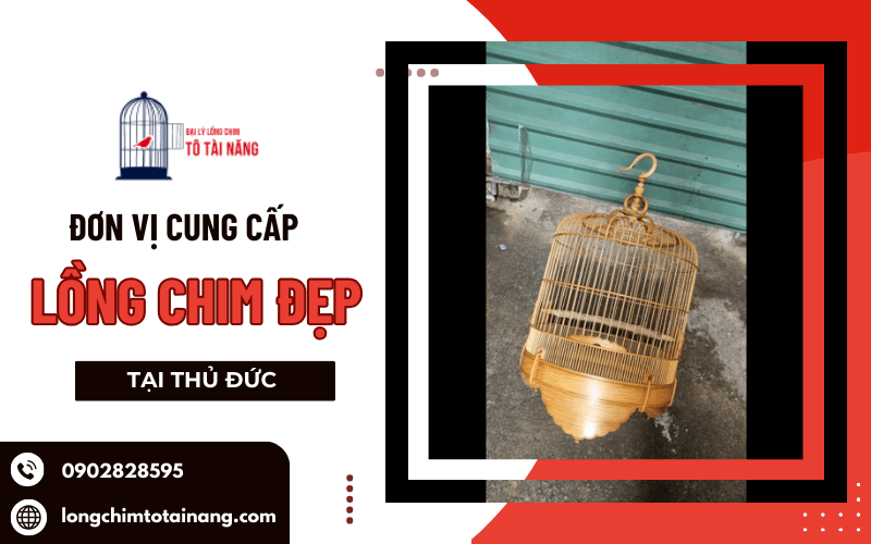  lồng chim đẹp tại Thủ Đức 