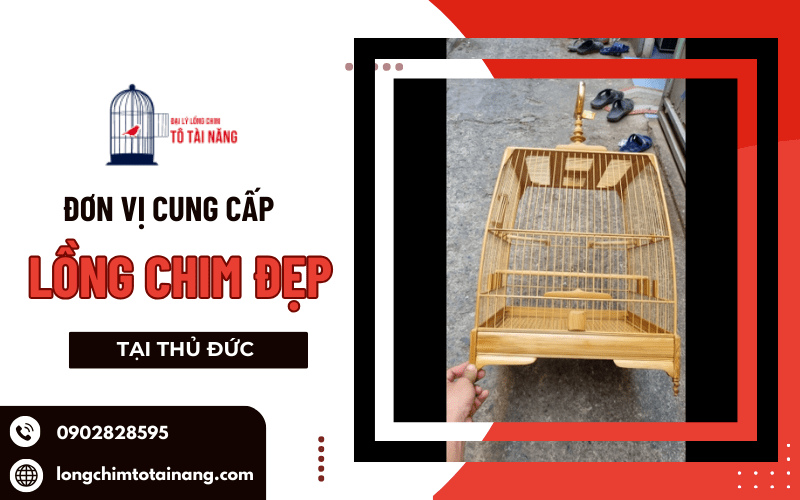 lồng chim đẹp tại Thủ Đức 