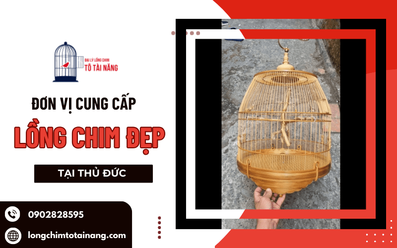  lồng chim đẹp tại Thủ Đức 