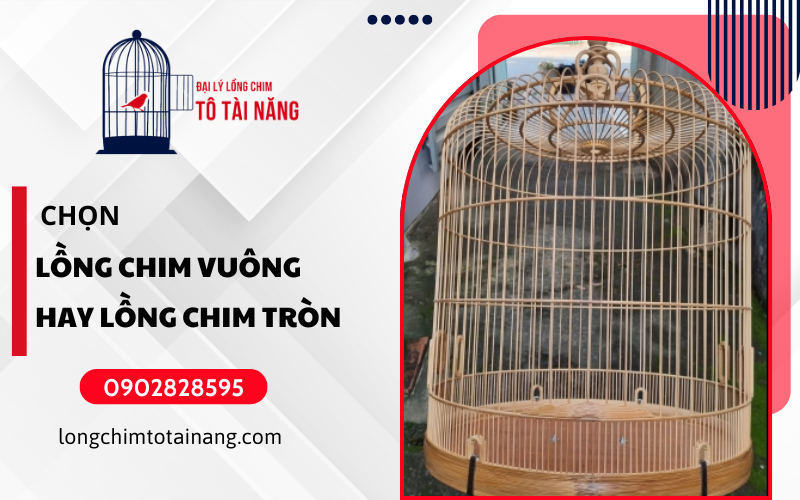 Lồng nuôi chim