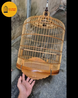 Lồng Chòe Than Fun Chạm Vạn Hoa Thị