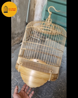 Lồng Khướu 68 Nan