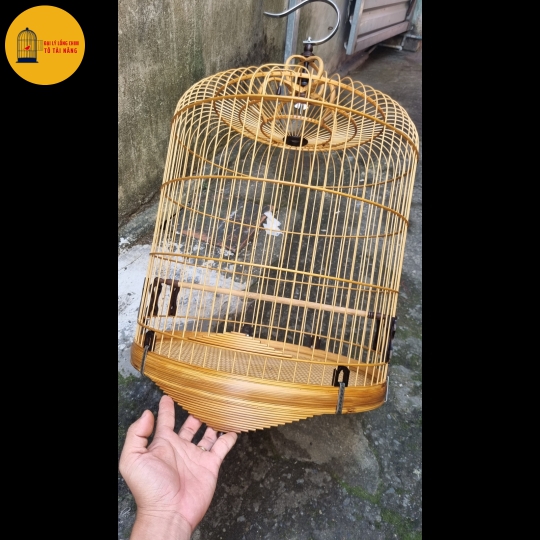 Lồng Chòe Than 68 Nan Giả Cầu Dừa