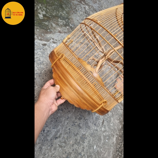 Lồng Chum 64 Nan Chào Mào