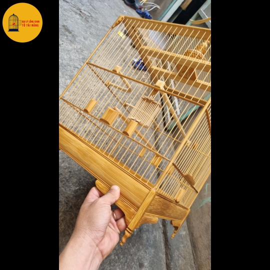Lồng Vuông Chào Mào Size 36, 23 Nan